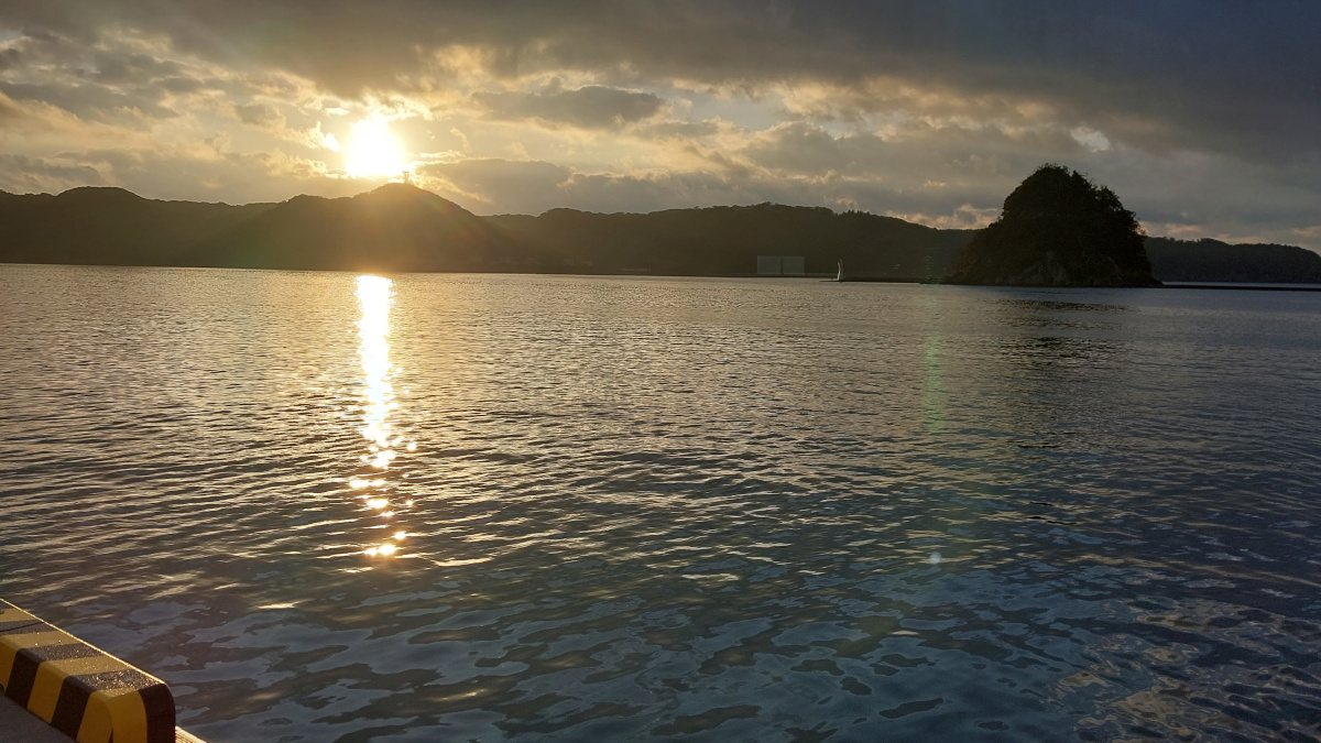 【下田港】朝夕わずかの時間にアジが集中