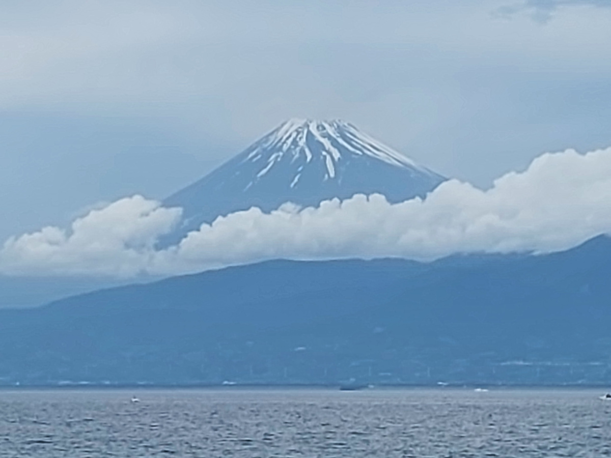 【足保港】富士を仰いで