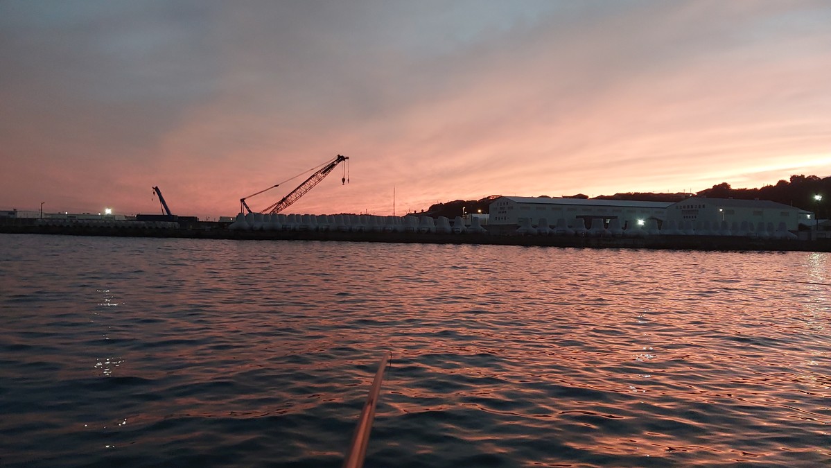 【久慈港】夕刻前、何とかアジ・イワシをゲット