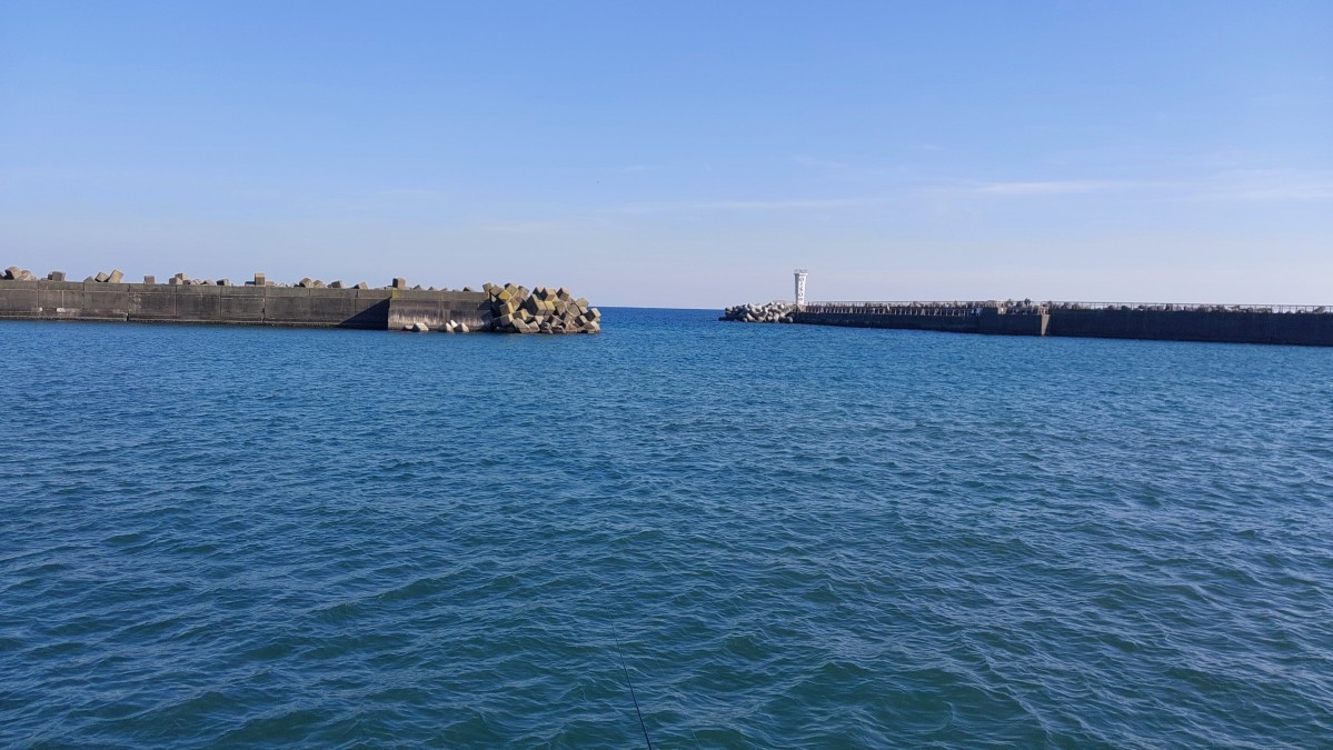 【大磯港】アイゴ多しも終了間際にアジ