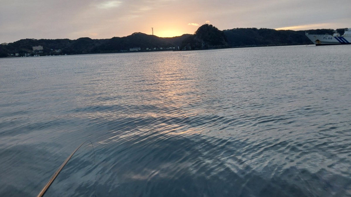 【宇佐美港】真冬の漁港、小メジナのみの釣果